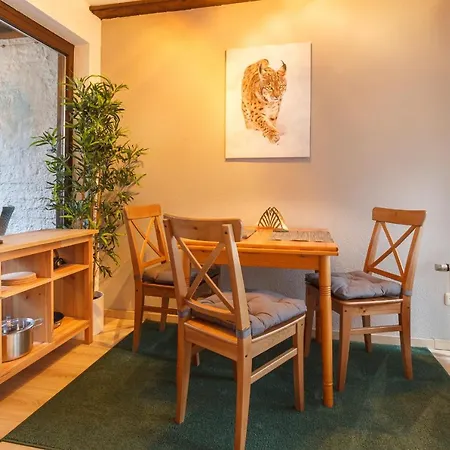 Appartement Sehn Suchts Ort Nr 6 Wintergarten Balkon Bad Harzburg